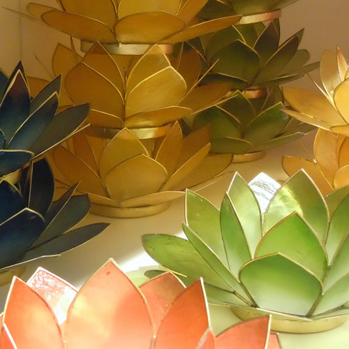 lotus lichtje