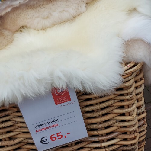 schapenvachten aanbieding
